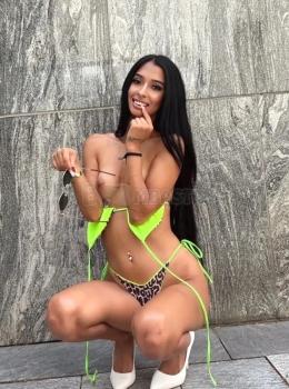 Stella